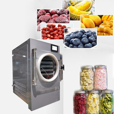 China Vacuümmini freeze dryer for home leverancier