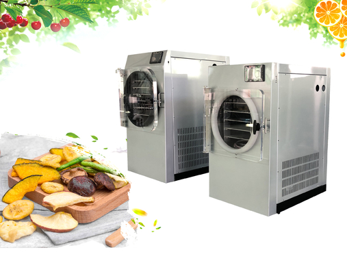 China Lichtgewichtmini freeze dryer machine for-Vruchten Groenten leverancier
